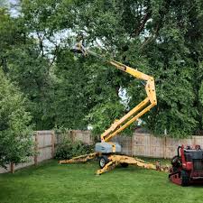 Best Lawn Drainage Solutions  in Eldorado, TX