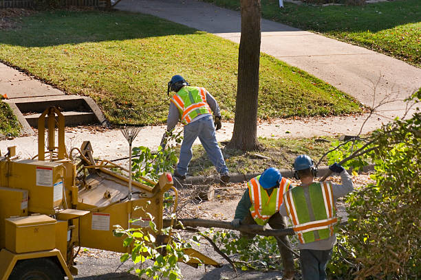 Best Seasonal Cleanup (Spring/Fall)  in Eldorado, TX